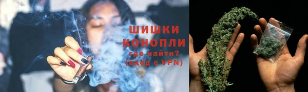 ГАЛЛЮЦИНОГЕННЫЕ ГРИБЫ Абаза