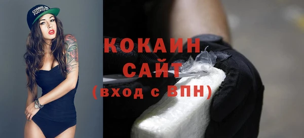 ГАЛЛЮЦИНОГЕННЫЕ ГРИБЫ Абаза