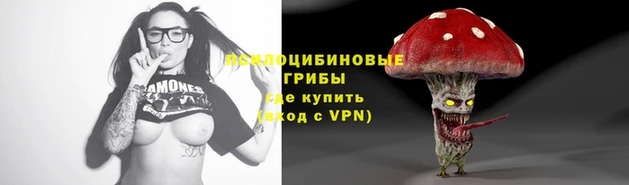 ГАЛЛЮЦИНОГЕННЫЕ ГРИБЫ Абаза