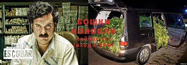 ГАЛЛЮЦИНОГЕННЫЕ ГРИБЫ Абаза
