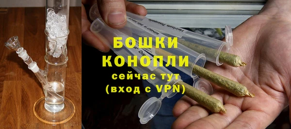 ГАЛЛЮЦИНОГЕННЫЕ ГРИБЫ Абаза