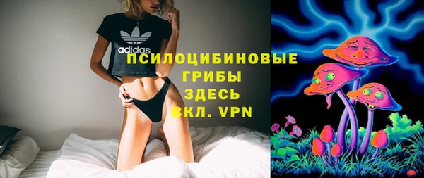 ГАЛЛЮЦИНОГЕННЫЕ ГРИБЫ Абаза